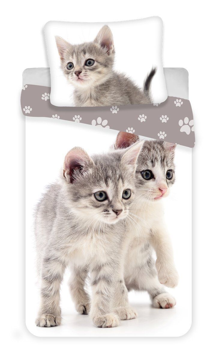 Kvalitní oboustranné bavlněné ložní povlečení fototisk Kitten grey, Jerry Fabrics