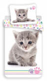 Povlečení fototisk Kitten colour | 140x200, 70x90 cm