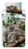 Bavlněné povlečení fototisk Koala | 140x200, 70x90 cm