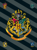 Dětská fleecová deka Harry Potter 067 | 100x150 cm